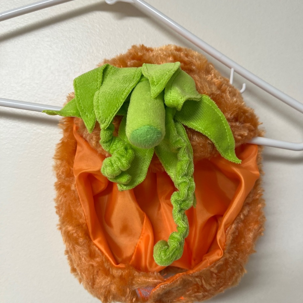 Pumpkin toddler costume/Med/18 mo old wore 2h/Hat/velcro/elastic/plush/non smo - Picture 13 of 15
